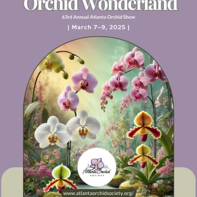 63rd Annual Orchid Show - 